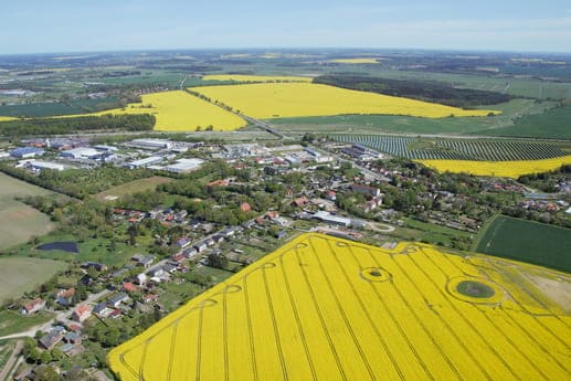 Rapsblüte im schönsten Bundesland