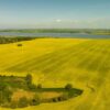 Rundflug Rapsblüte Schleswig-Holstein Mecklenburg